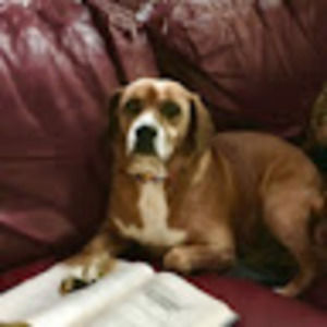 Meet your Posher, The